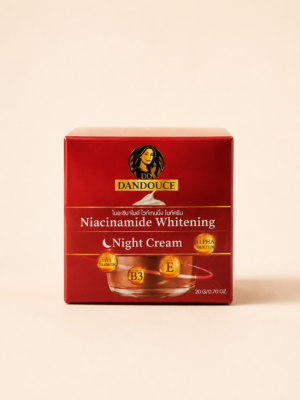 Dandouce Crème de Nuit Éclaircissante Niacinamide & Alpha-Arbutin - Anti-Taches & Régénérante - 20g